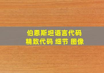 伯恩斯坦语言代码 精致代码 细节 图像